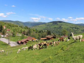 Chalet familial à La Bresse, proche randonnées, WIFI, animaux admis - FR-1-589-425